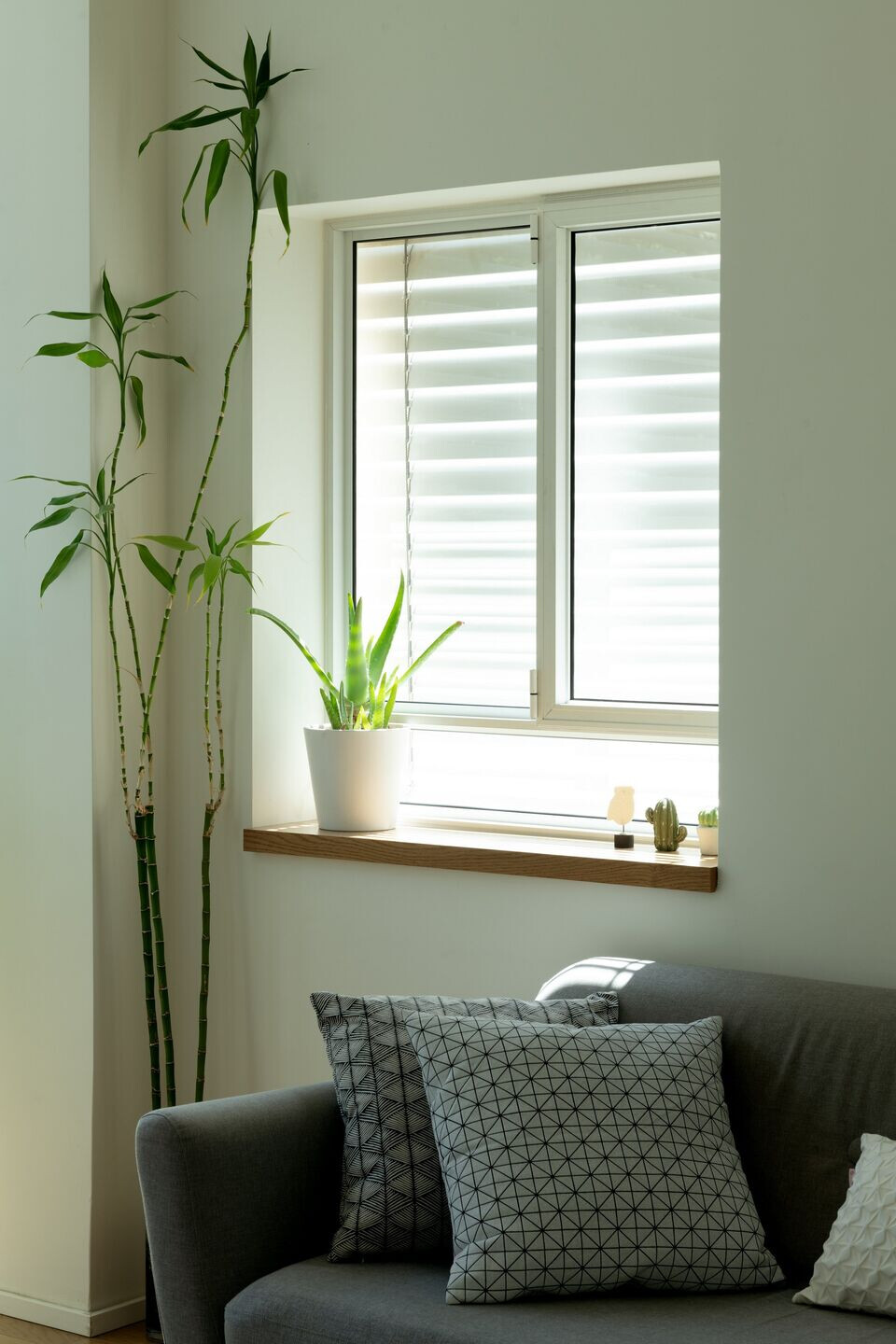 特拉维夫轻奢公寓,通透明亮的生活空间-23