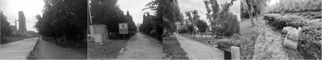 枣庄高新区人才公园设计丨中国枣庄丨同圆设计集团股份有限公司-26