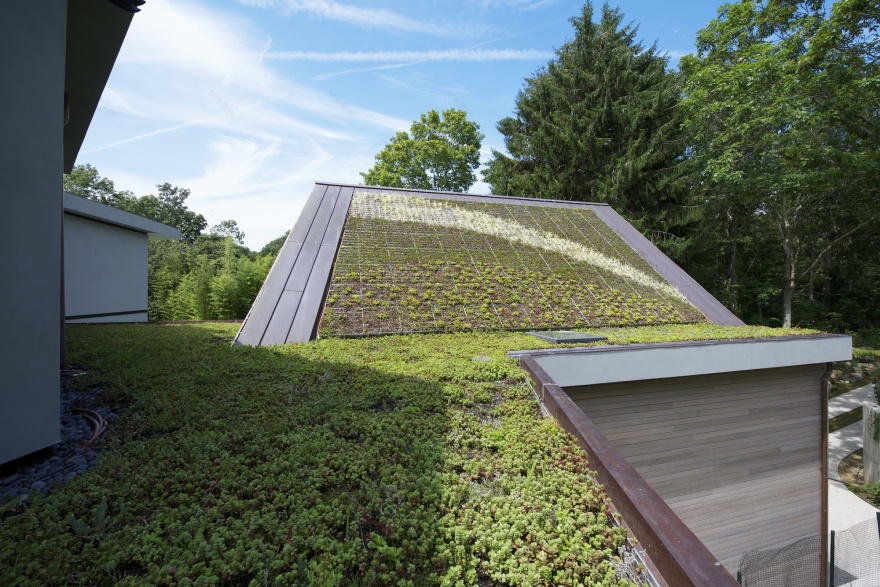 美国赛尔斯空中花园住宅 | 绿意盎然的家庭乐园-21