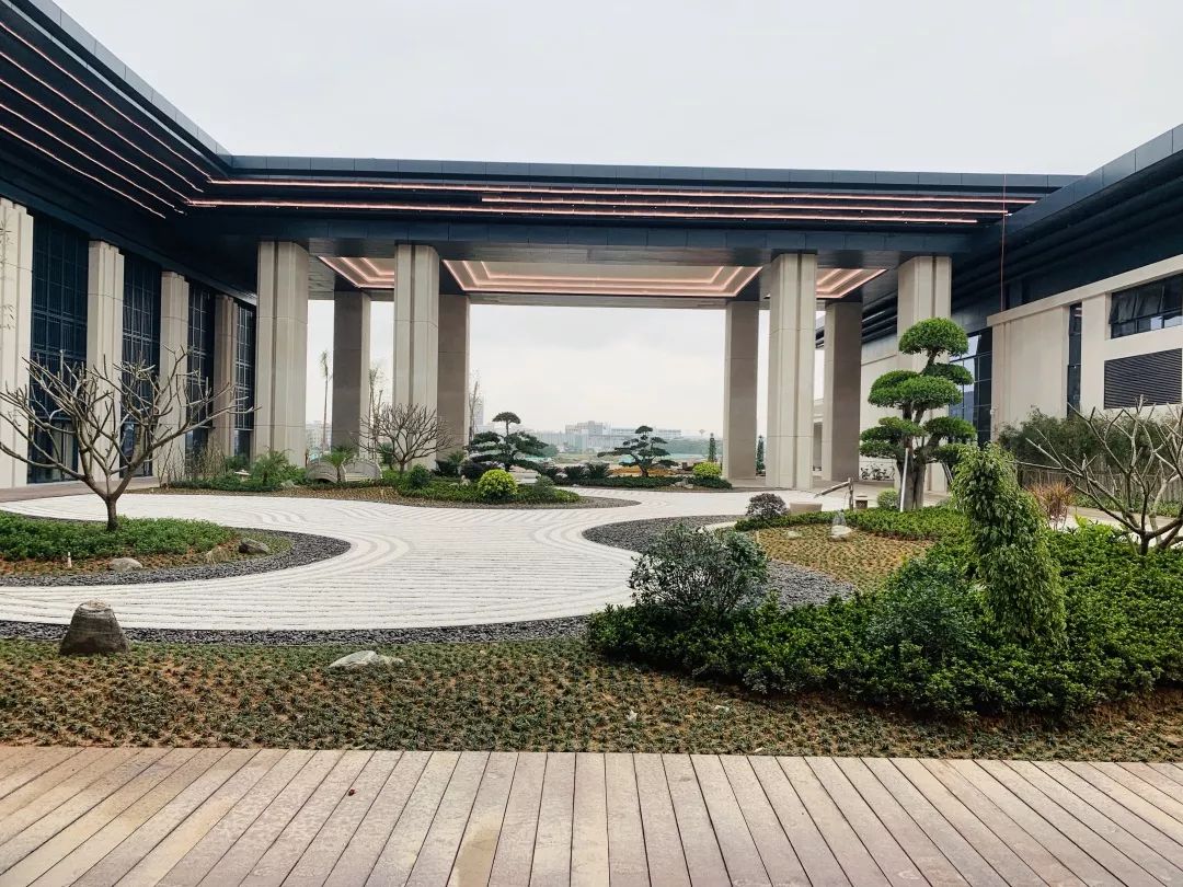 速度与激情的碰撞 | 从“速度坪山”到“绿色坪山”-10