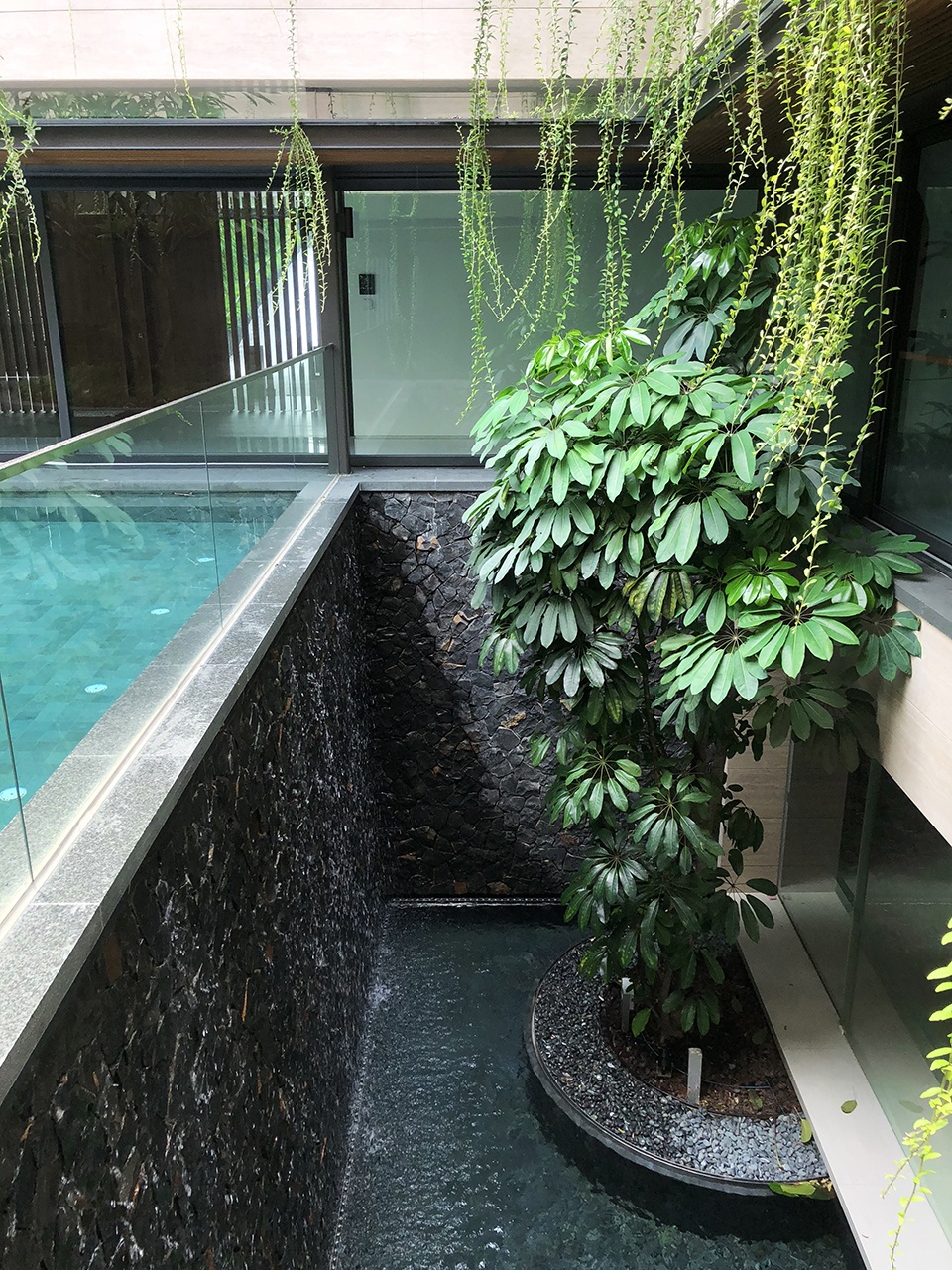 水花园住宅丨新加坡丨Wallflower Architecture + Design-42