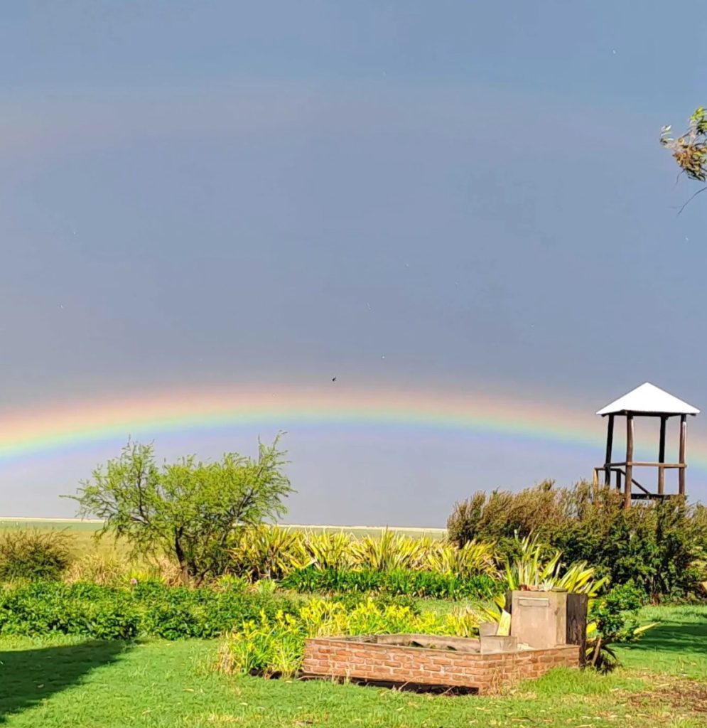 Argelanda农业生态项目-43