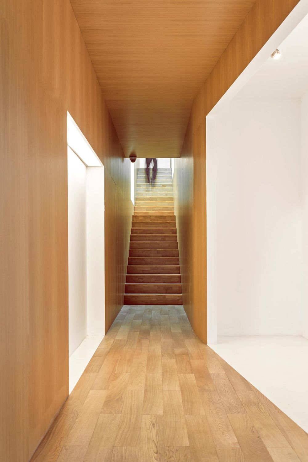 力利记艺术空间  建筑营设计工作室-1