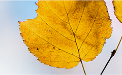 路劲城市主场现代简约风设计,生活简约而不简单-89