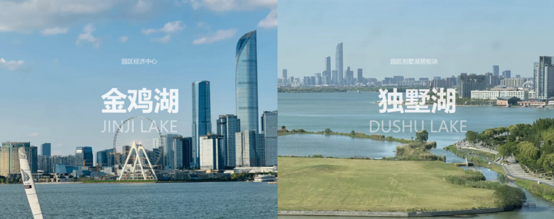 星合·晋墅丨中国苏州-7