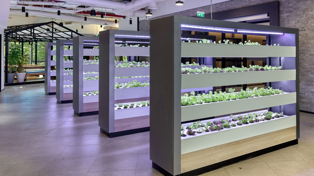 VMware, 班加罗尔 -9