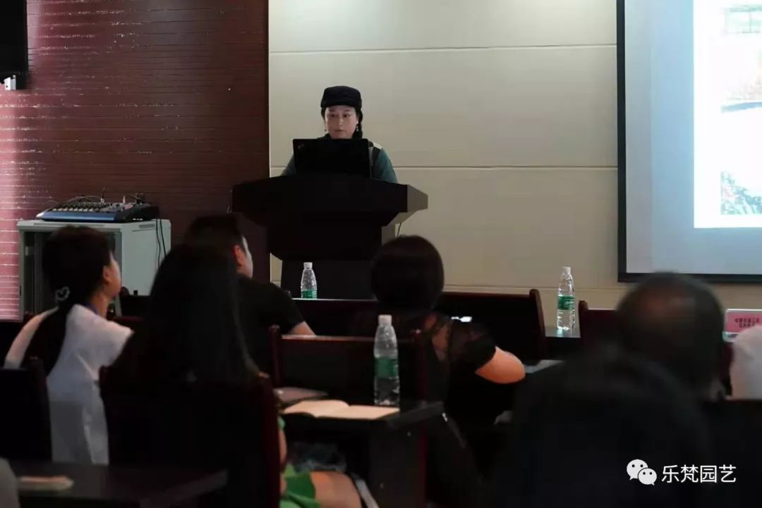 乐梵园艺打造成都花木博览会快闪花园,惊艳全场-105