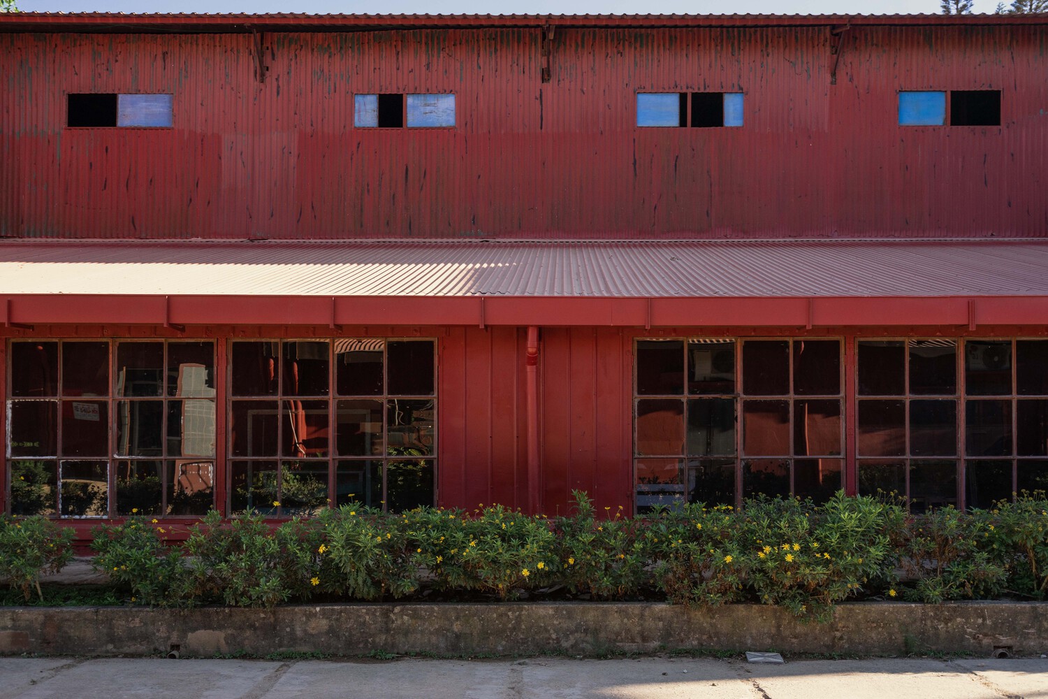 越南 Cau Dat 茶博物馆丨Bo 设计与施工-21