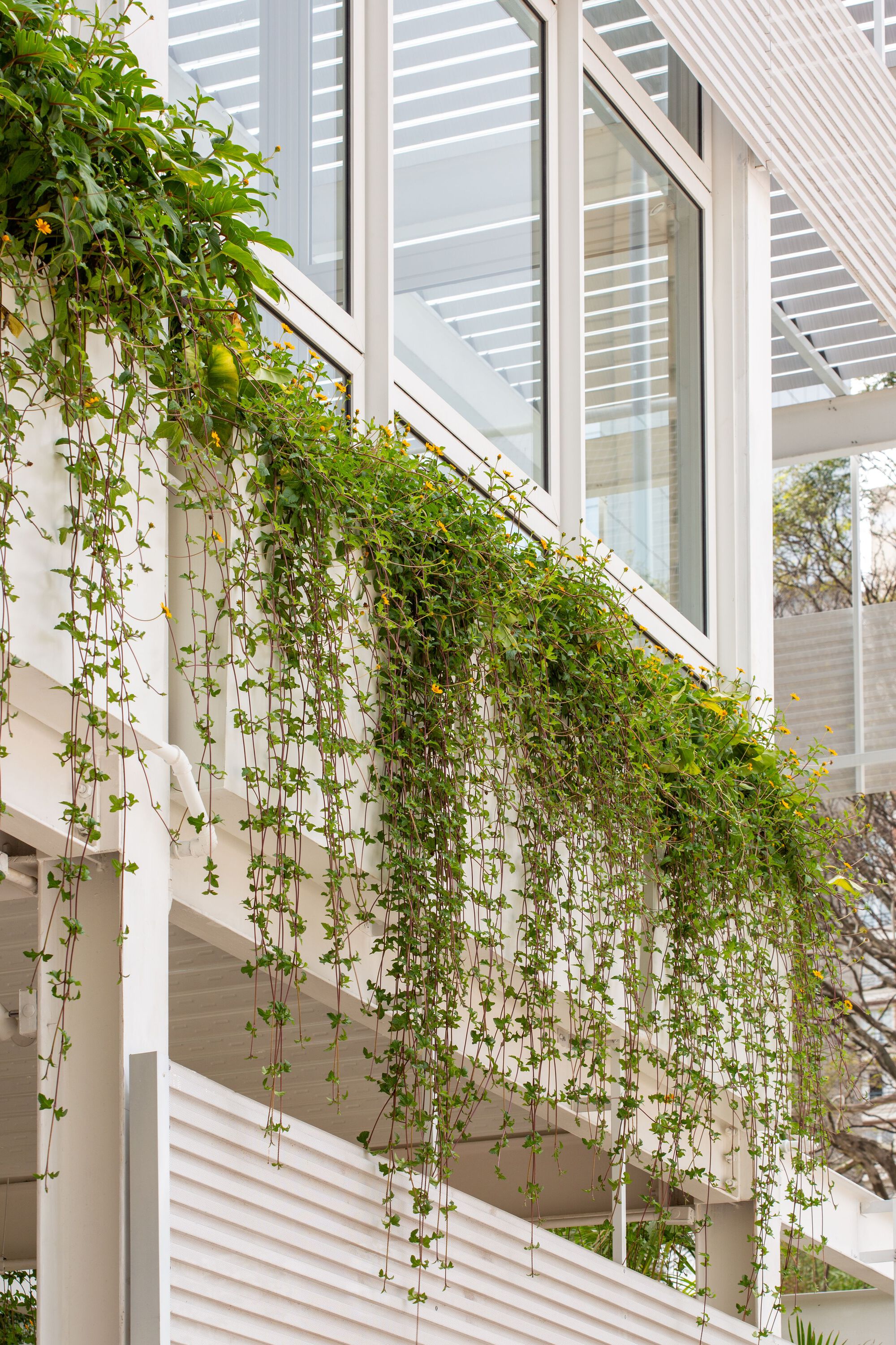 JK 体育综合海滩丨巴西圣保罗丨Soek Arquitetura-47