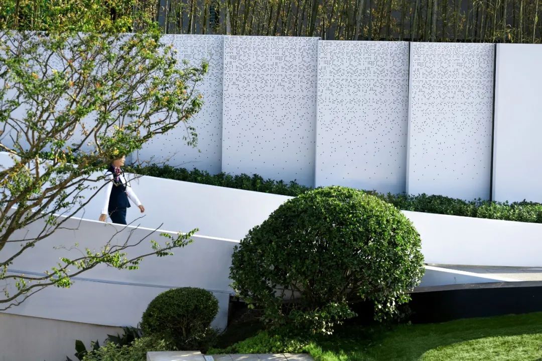 金小瑞的自然探索之旅 | 金辉·优步学府-19