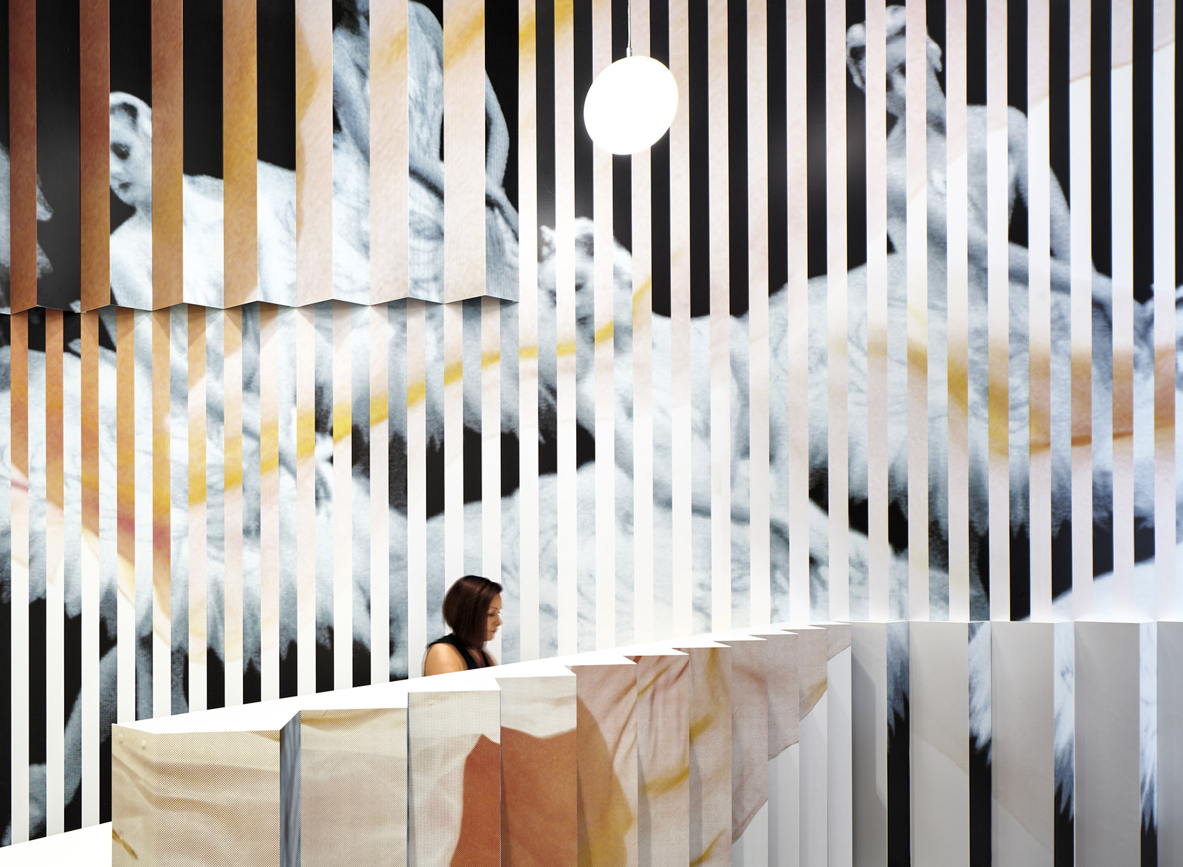 Goh芭蕾舞工作室，多伦多 / Batay-Csorba Architects-12