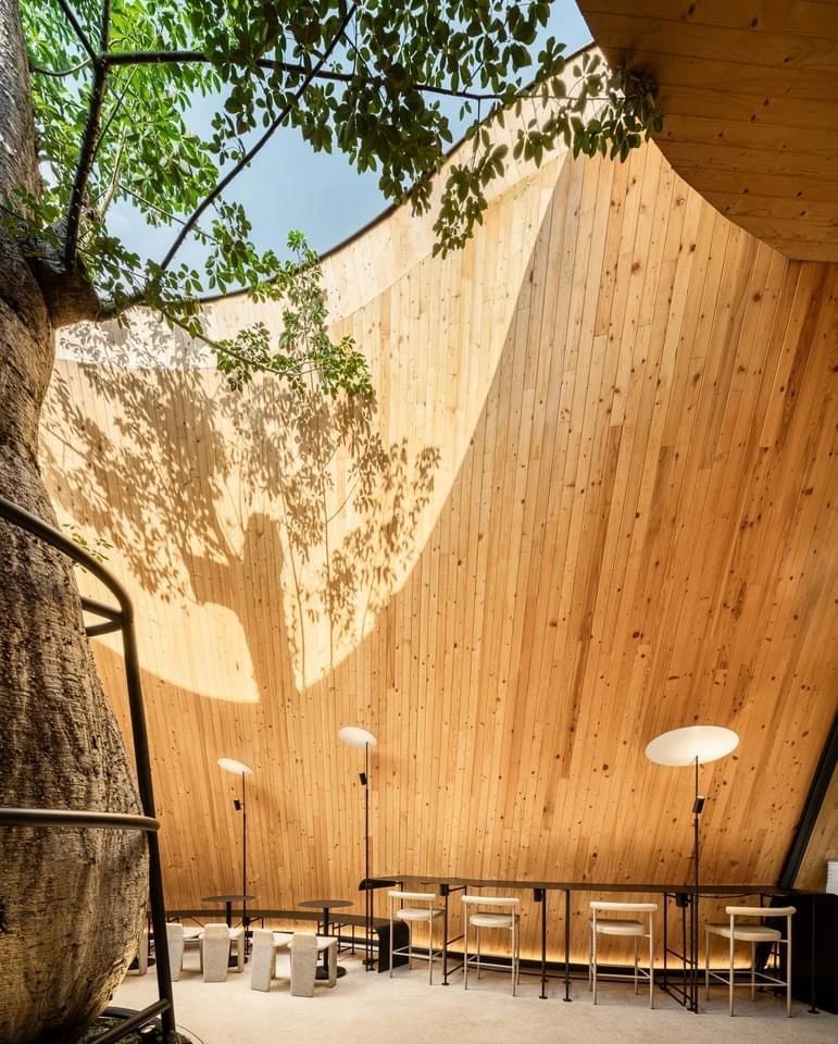 黑色咖啡馆 在自然间流动:泰国 Harudot Chonburi by NANA Coffee Roasters-65