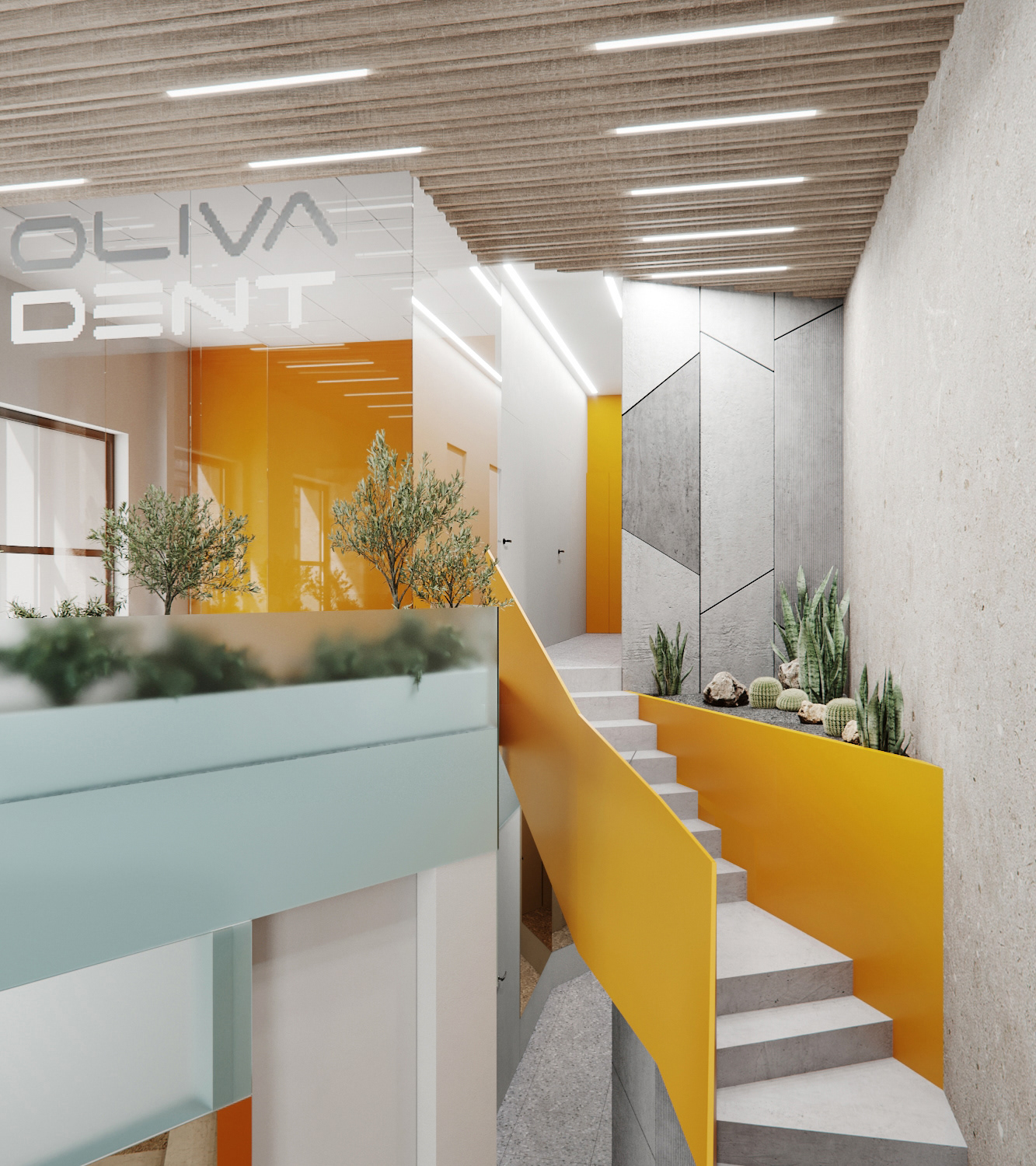 奥利瓦牙科丨俄罗斯莫斯科丨Duo studio-18