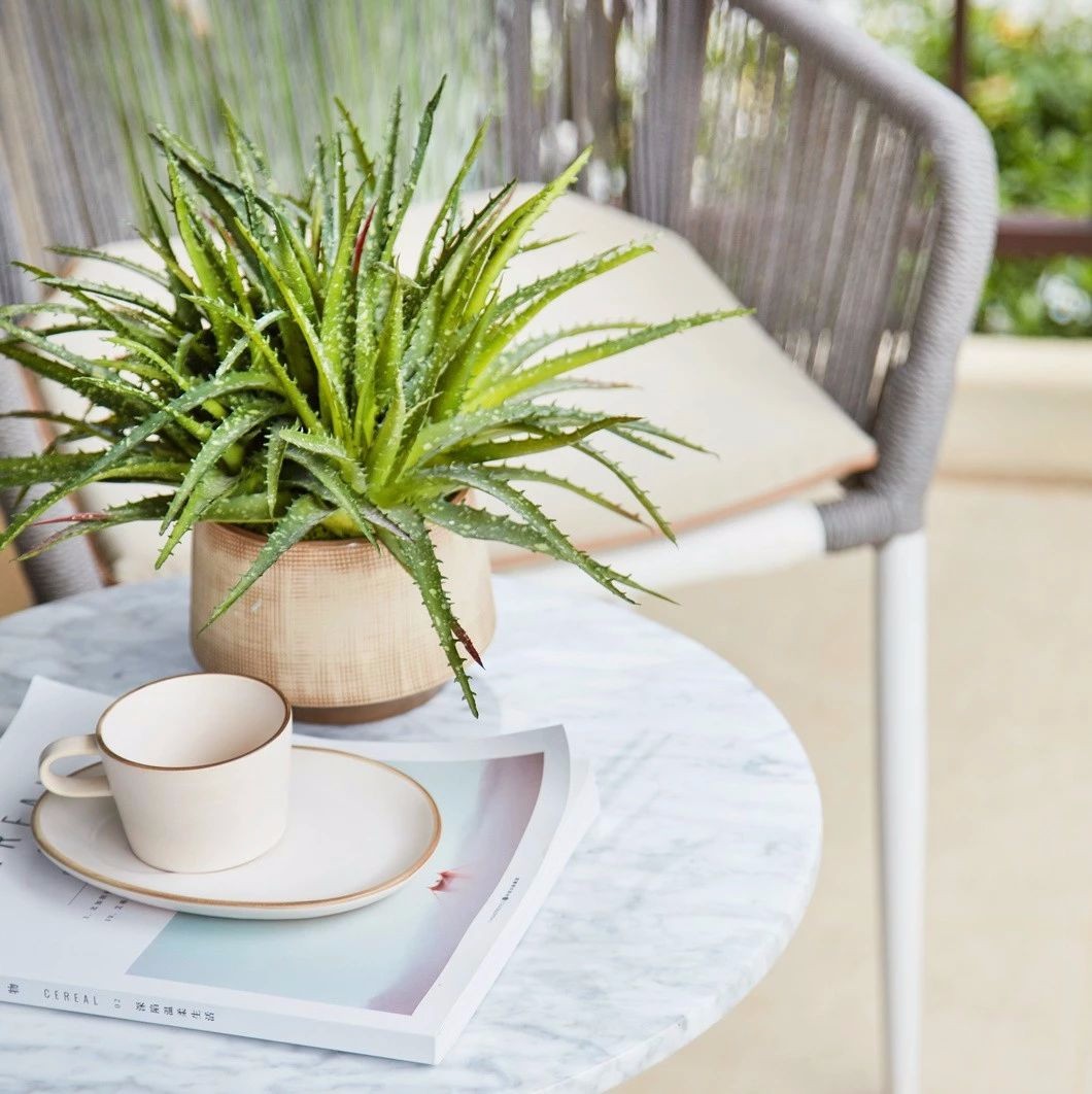 火爆设计圈的莫兰迪系，在室内真的很美-61