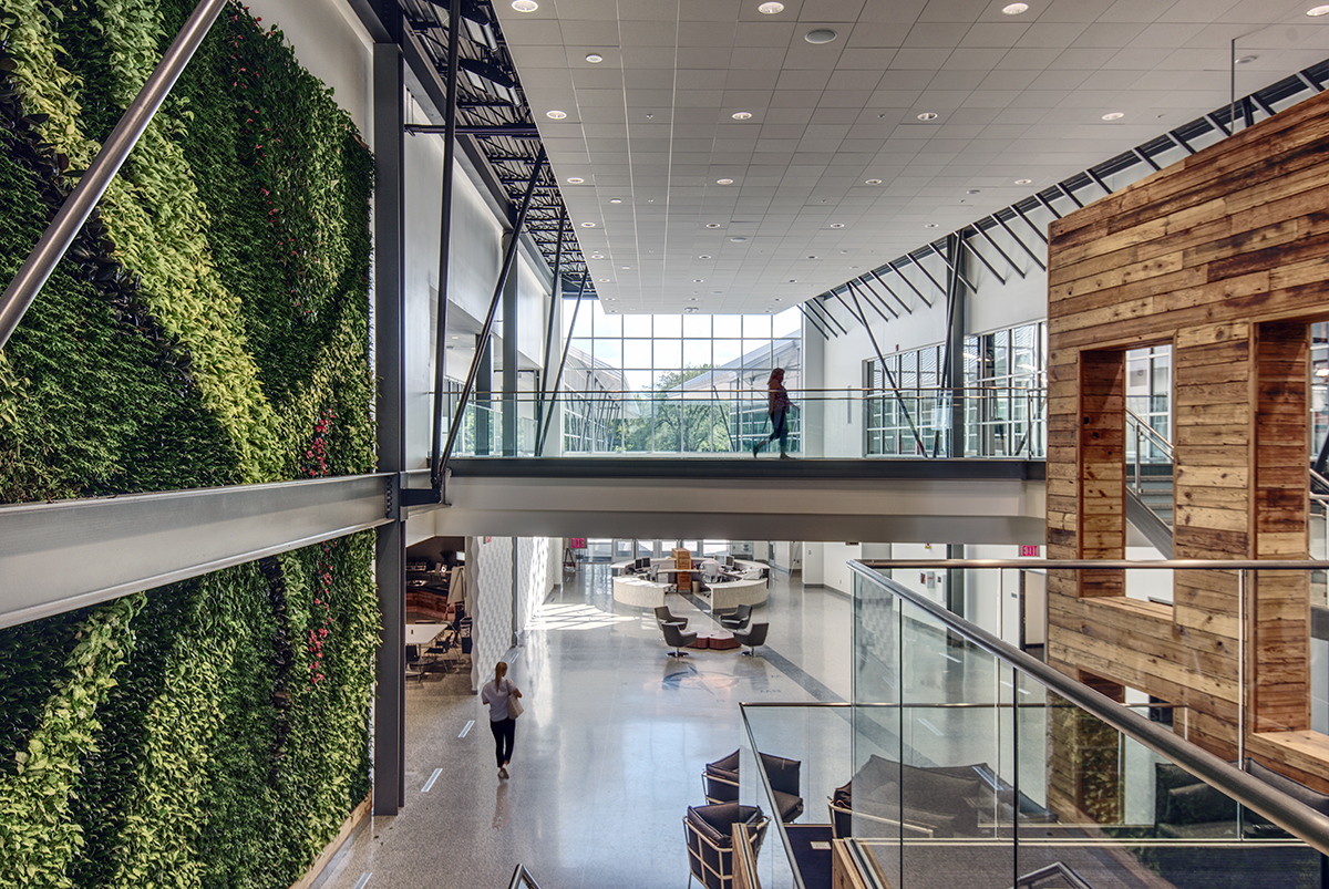 学术成就中心——绿色环保、功能齐全的教育空间-0