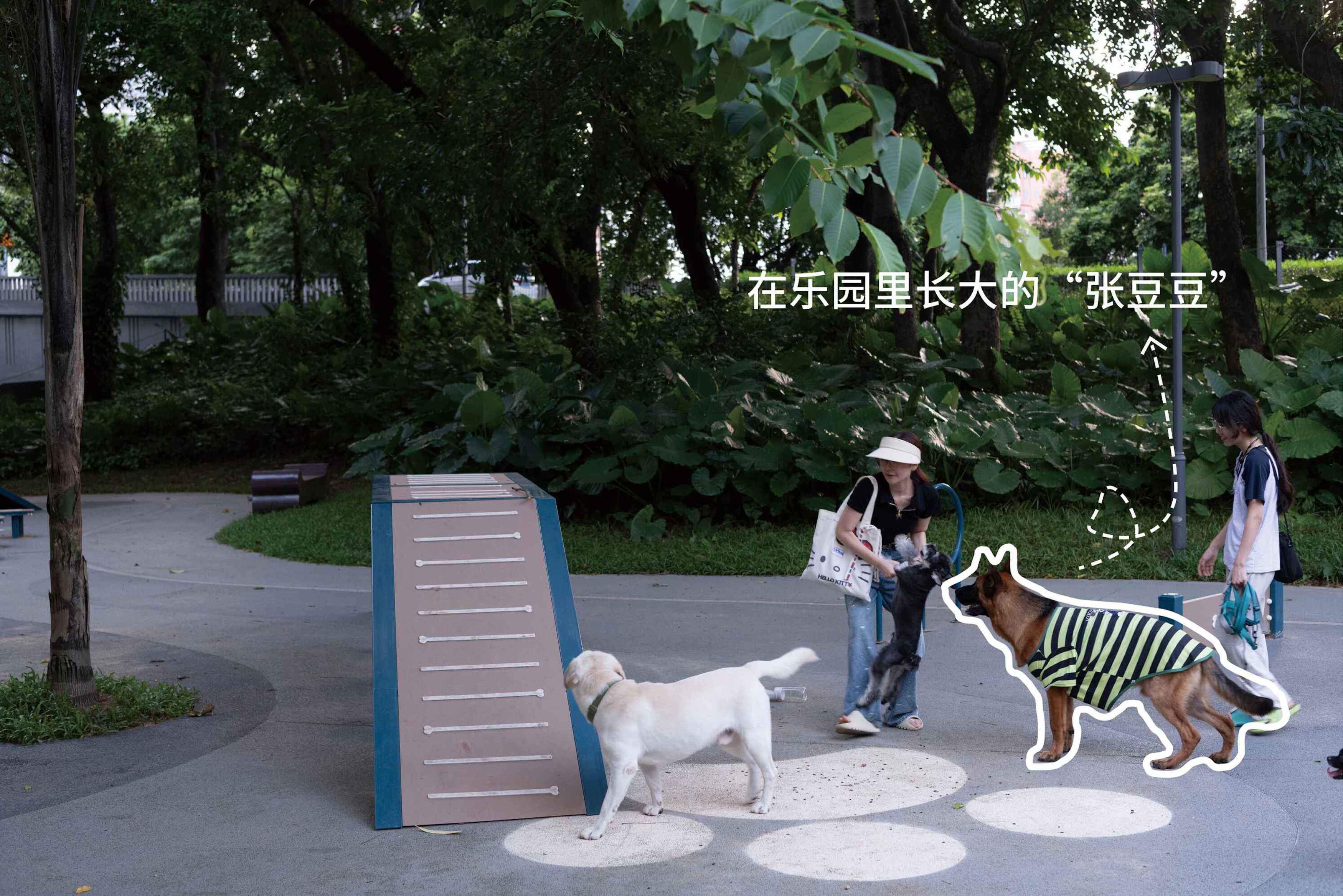 深圳市罗湖泥岗东路宠物友好口袋公园丨中国深圳丨深圳市未名设计顾问有限公司罗湖分公司(WMLA)-36