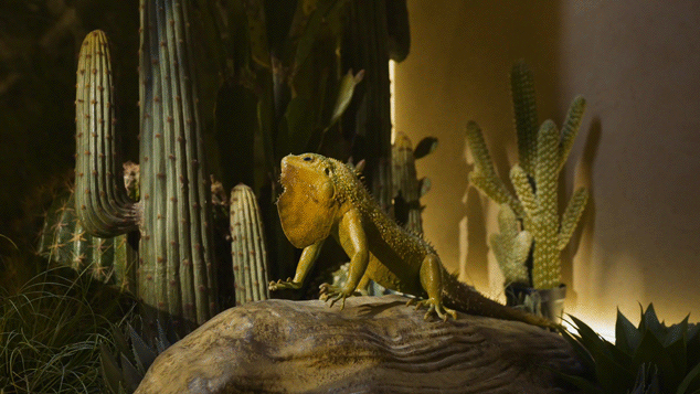 新希望天府锦麟壹品丨中国成都丨杜文彪设计-36