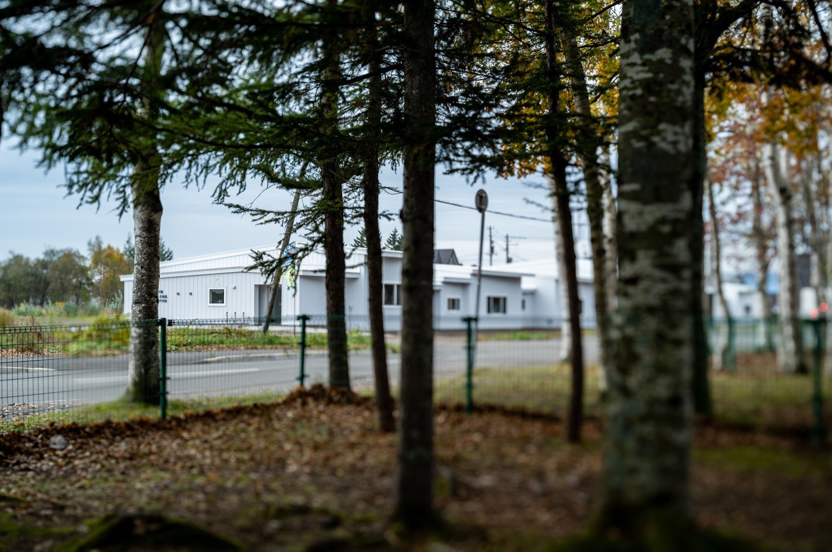 岩谷学园“奶牛养殖业×IT”专门学校丨日本丨Atelier MEME,第一宅建设计,KEI 设计-19