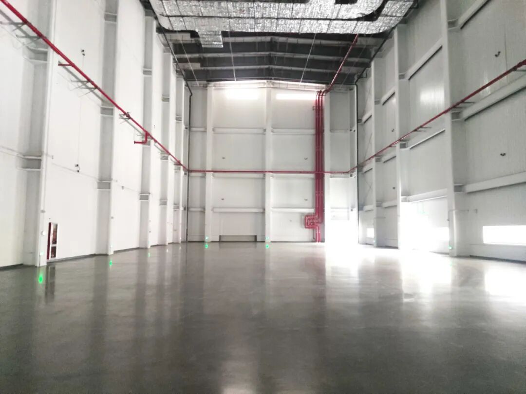 打造中外合作新平台！新发展H1地块新建项目顺利交付-49