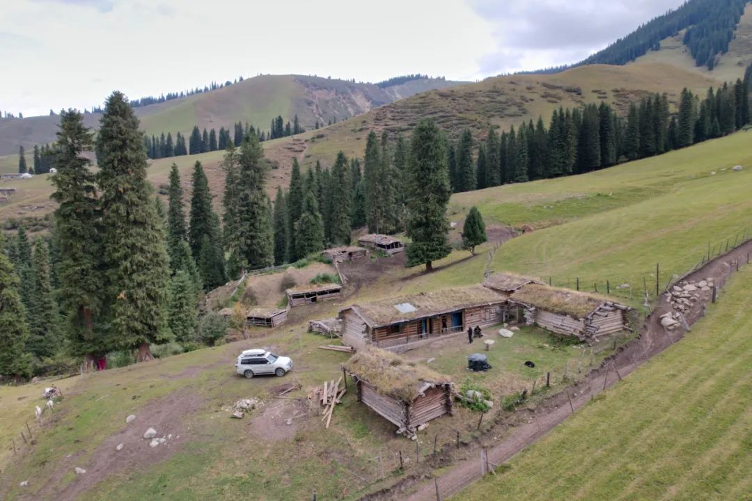 博仁设计 | 新疆民宿 融于自然的野奢木屋-19