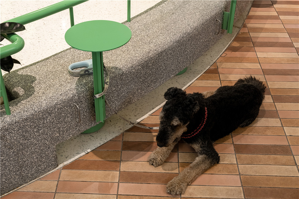 成都大悦城“悦食汇”食集空间改造丨中国成都丨四周建筑-39