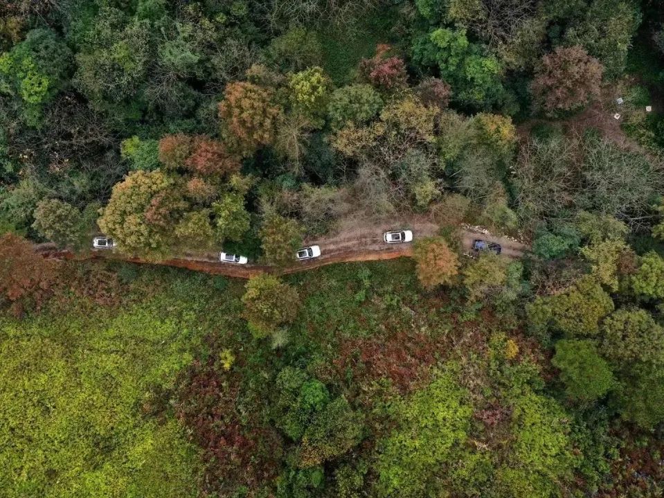 野奢秘境，探寻春日浪漫-161