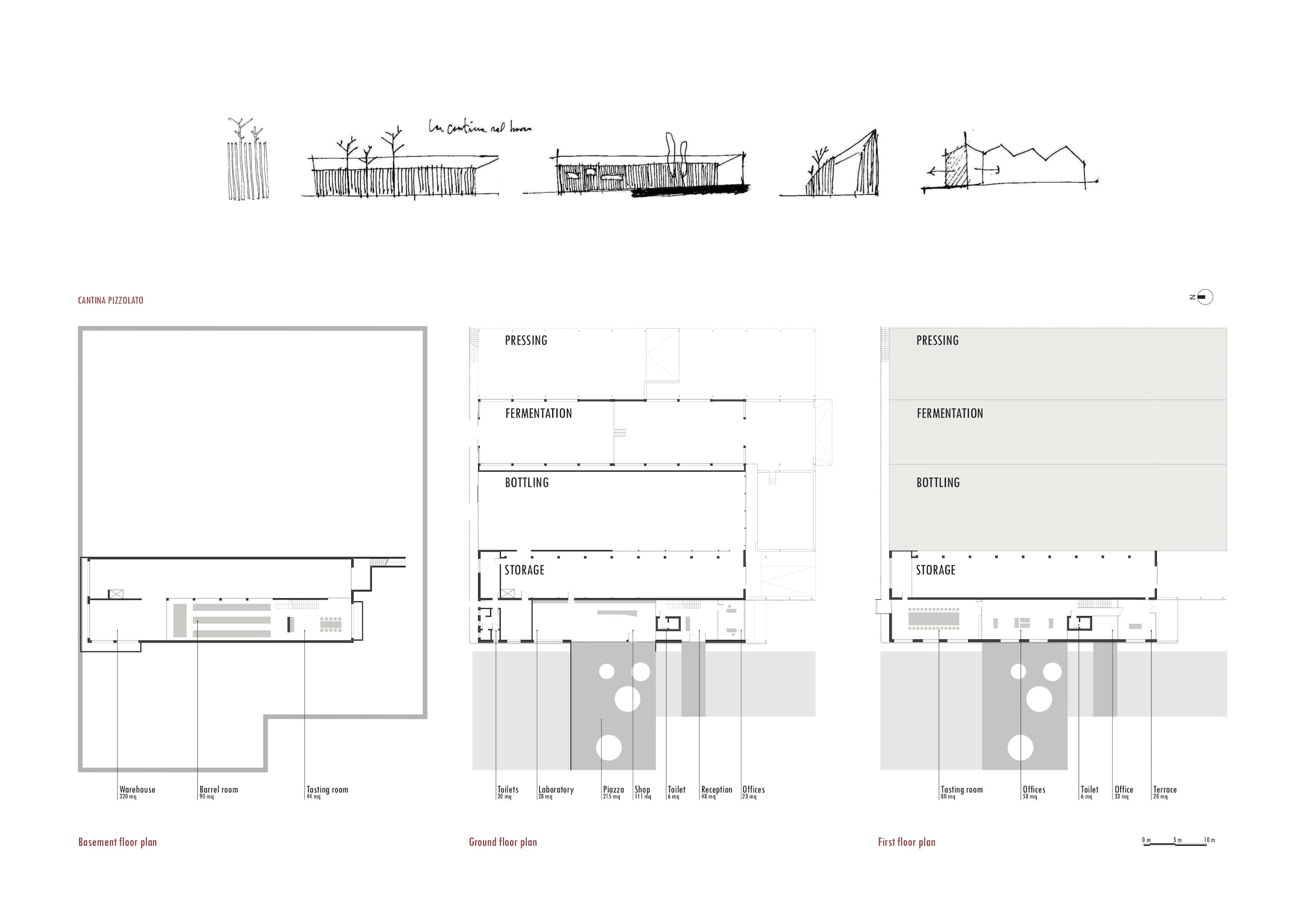 意大利酒厂新生 LA CANTINA PIZZOLATO · NEW BIO WINERY,MADE associati-34