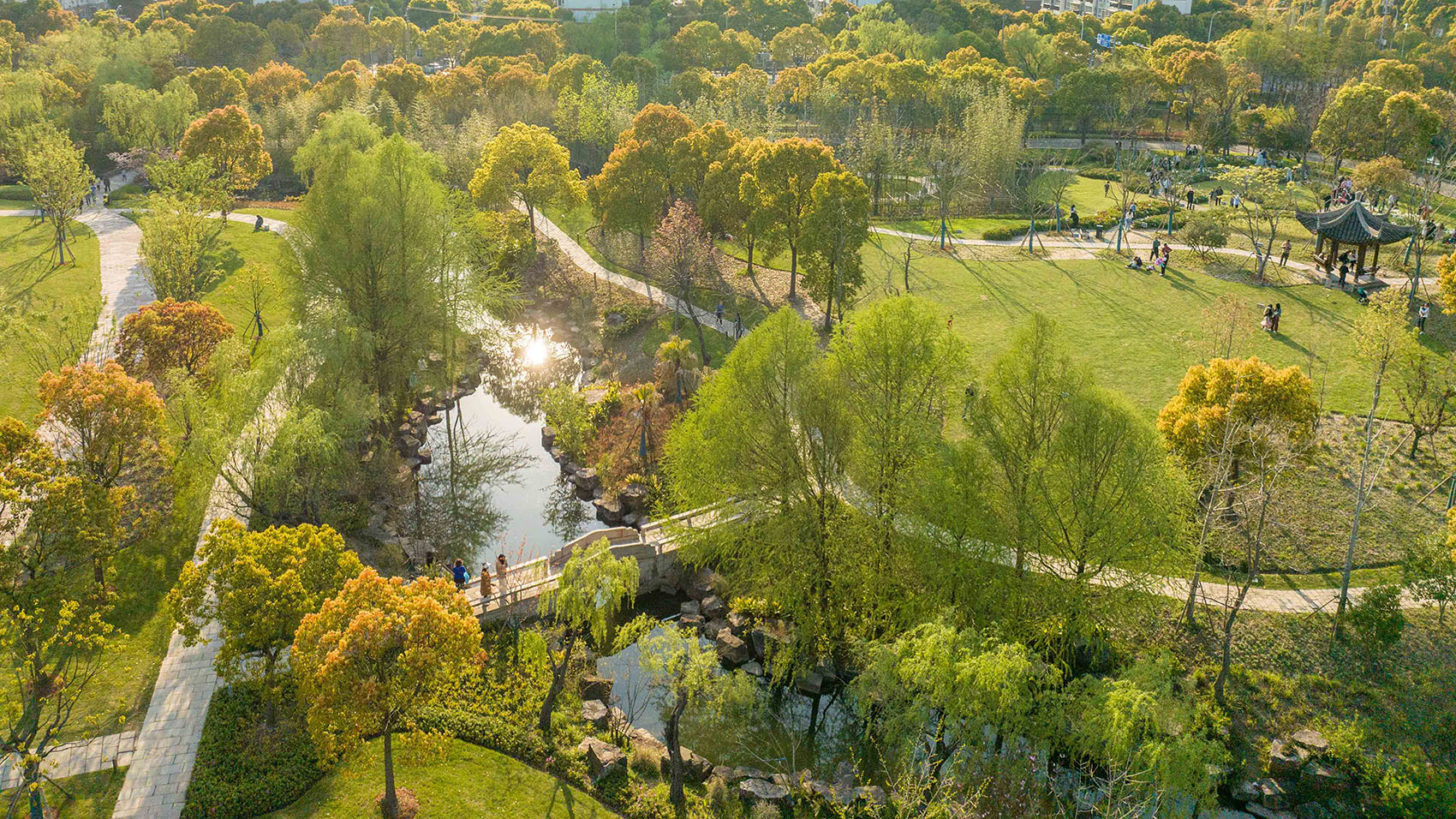 上海浦东牡丹园改造丨中国上海-14