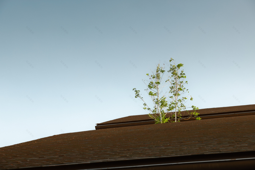 挑空别墅丨泰国丨IF (Integrated Field)-24