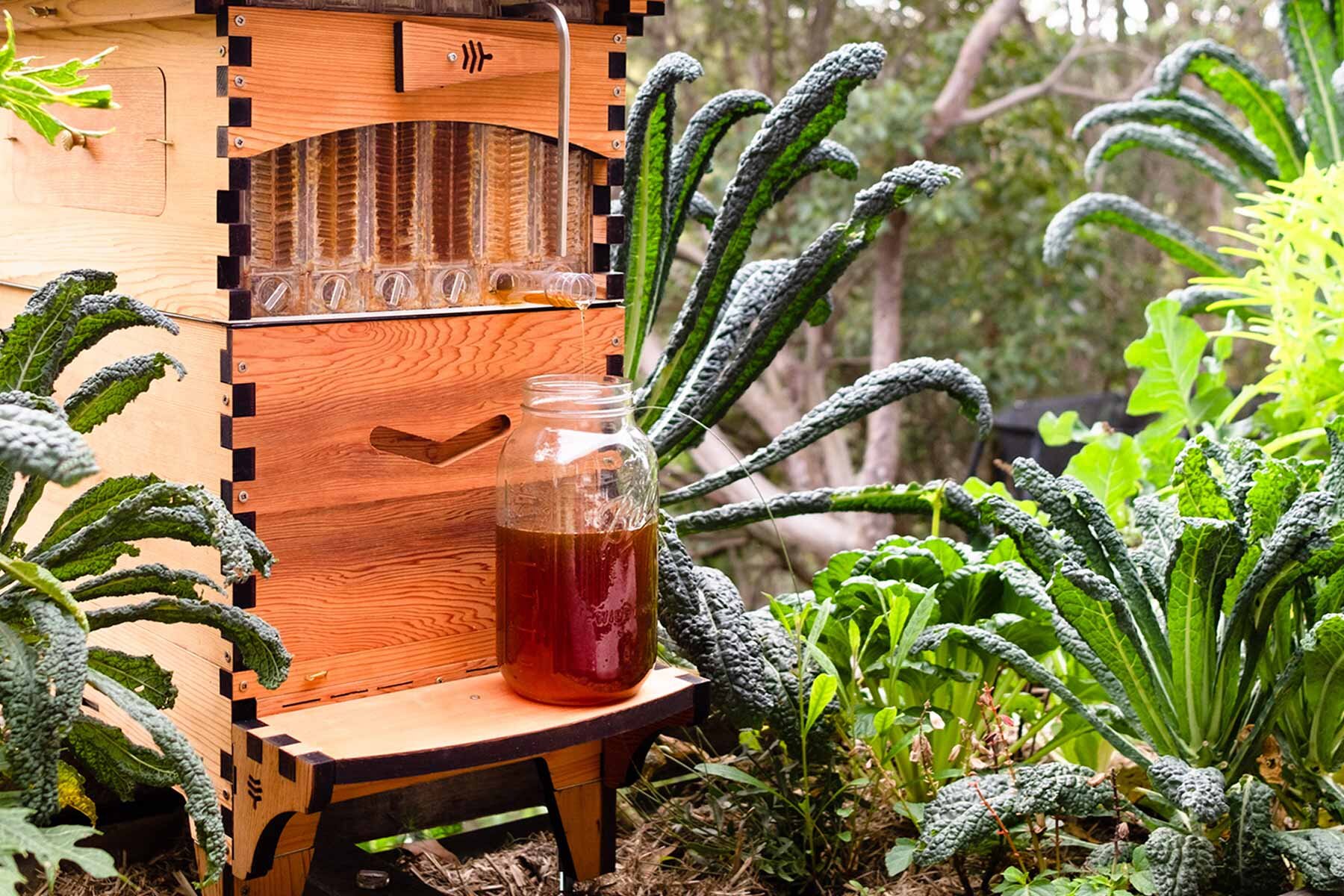 2020 World Bee Day — Adam Robinson Design-0