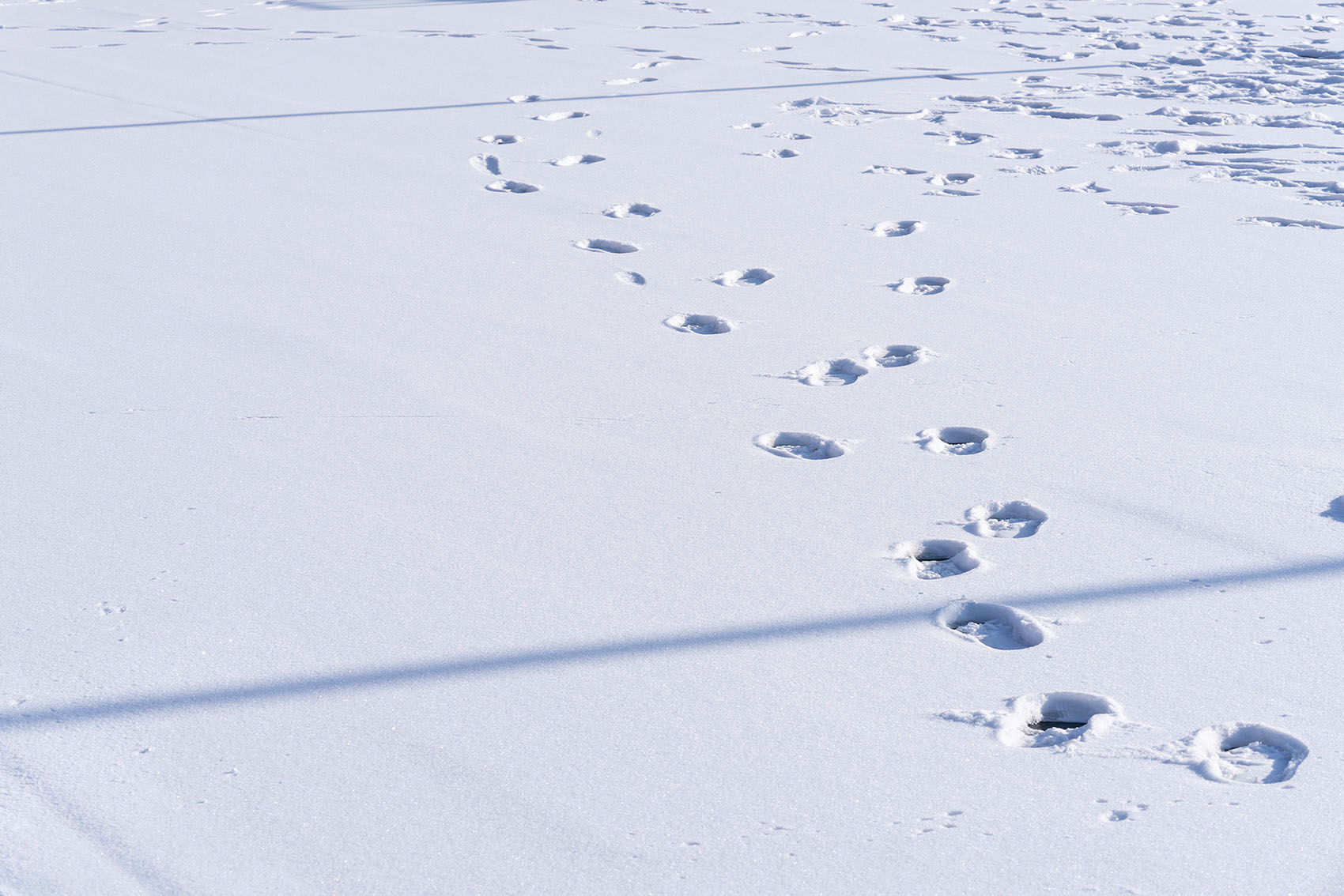 仓41 · 北纬41度雪场酒仓丨中国河北丨浆果创意-114