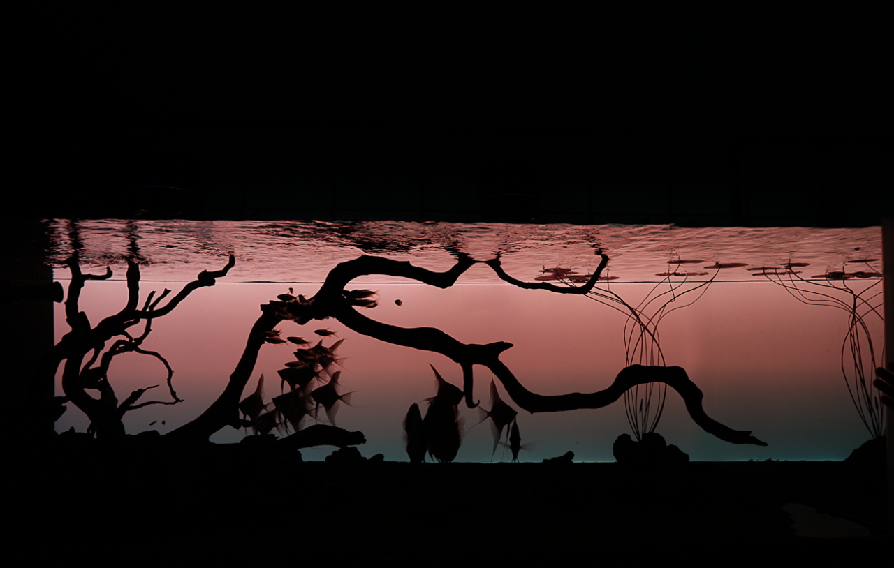 凤起玉鸣丨中国温州丨大墨空间设计-39