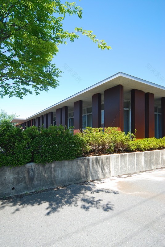 岡田整形外科 #126丨日本丨iwano + COGITE設計共同体-40