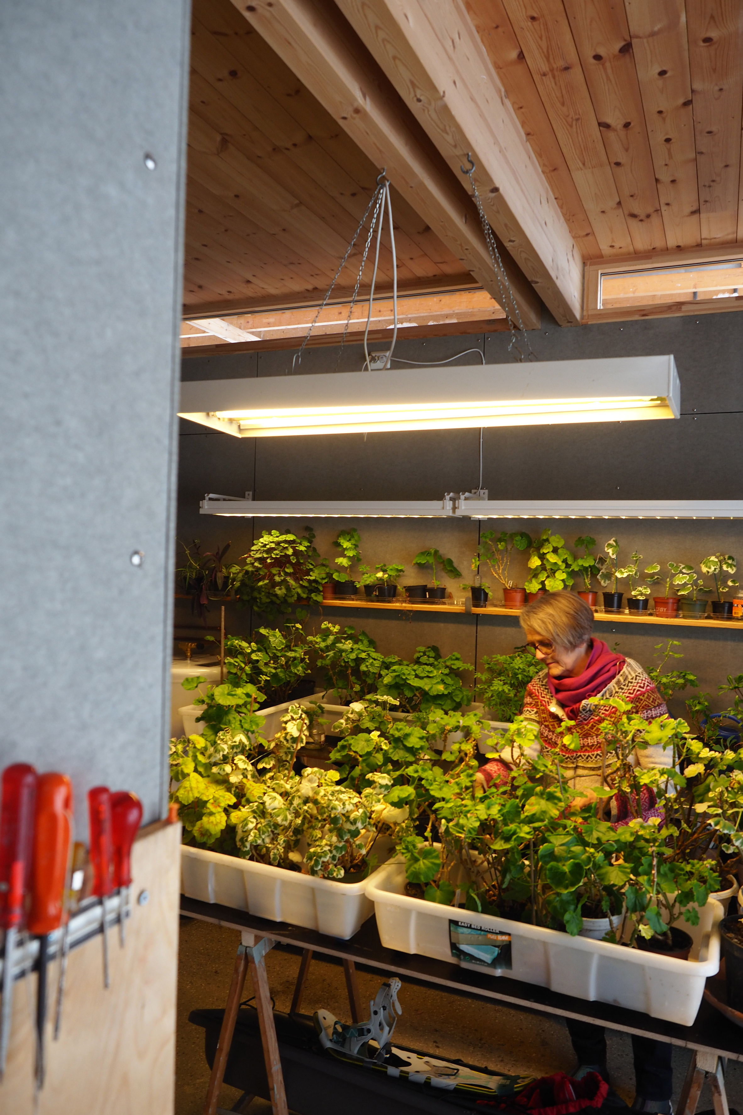 Timber shed gives retired couple room for painting and gardening-16