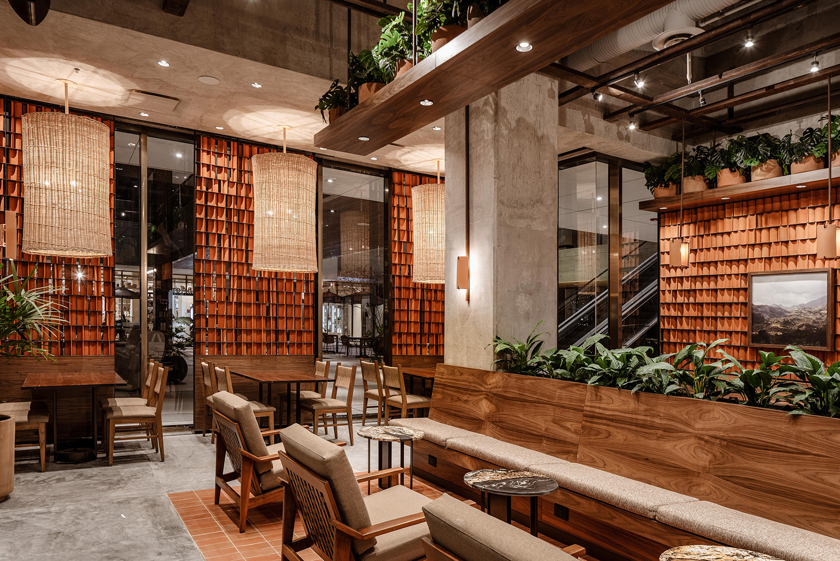 墨西哥 Kali 咖啡馆丨Concéntrico-35