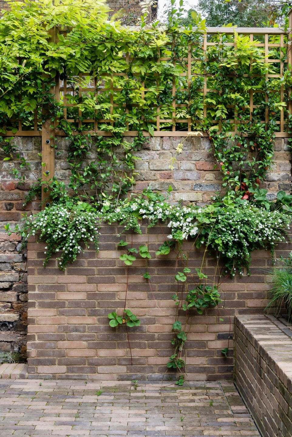 伦敦北区 Dartmouth Park 别墅翻新丨英国伦敦丨Pardon Chambers Architects-18