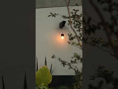 丨墨西哥墨西哥城丨Estudio Radillo Alba-36