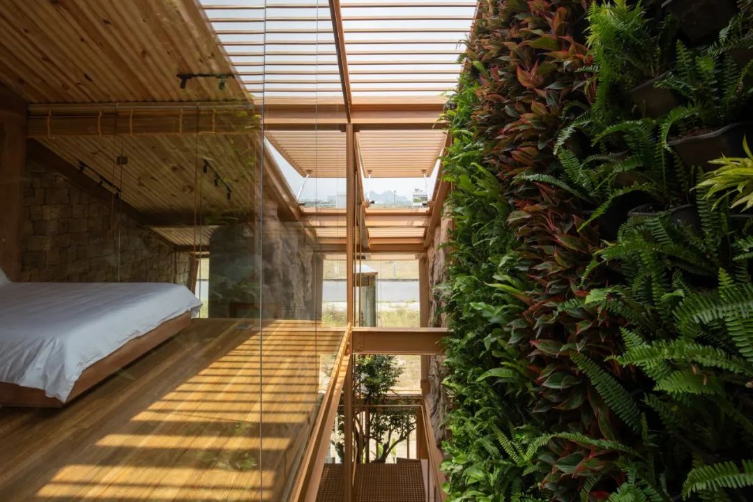 172 m²越南退休住宅（Ga·o House）-26