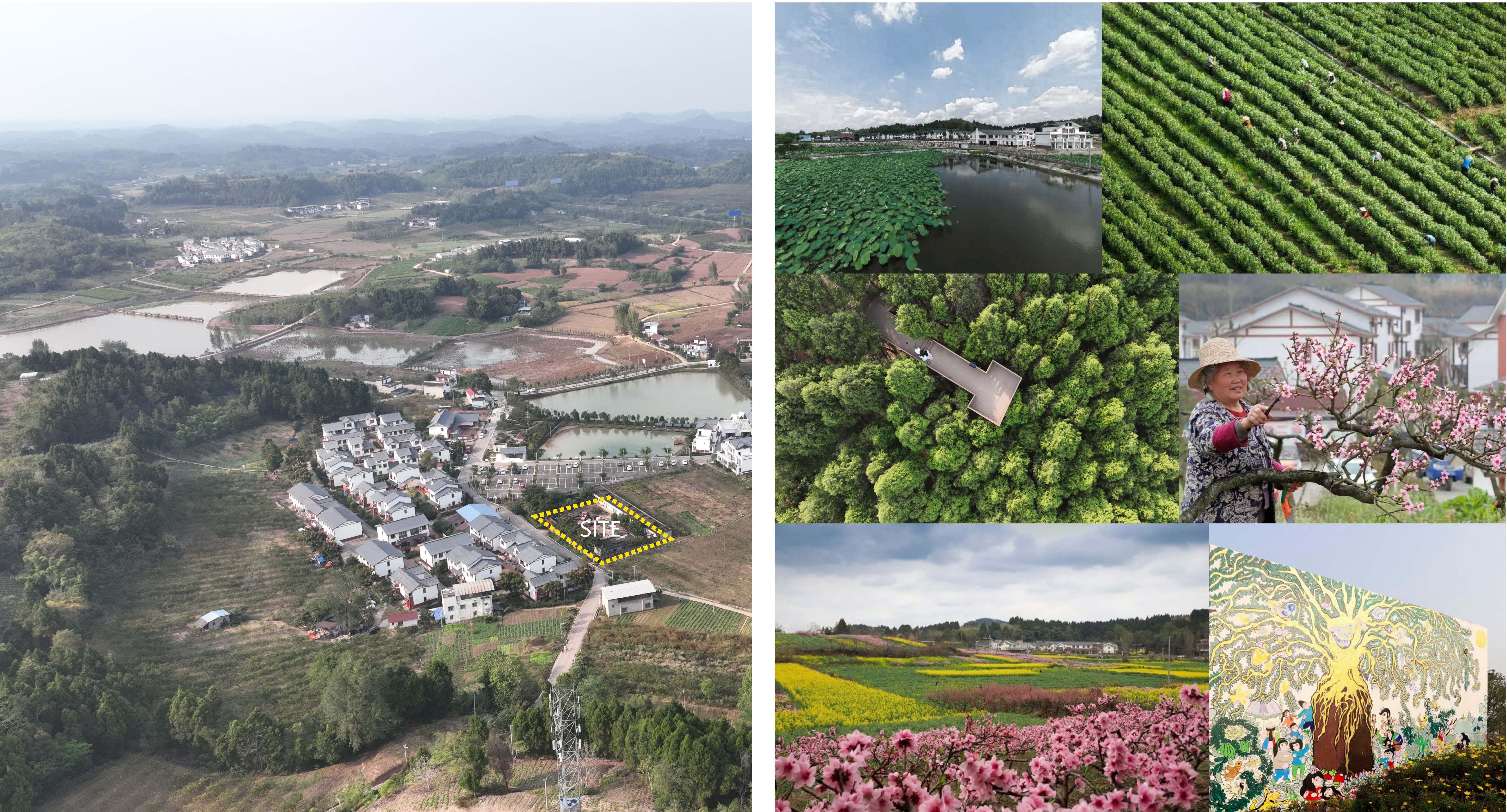 竞赛第二名 | 回廊聚院：四川简阳尤安村社区美空间设计 / BEHIVE致野建筑-1