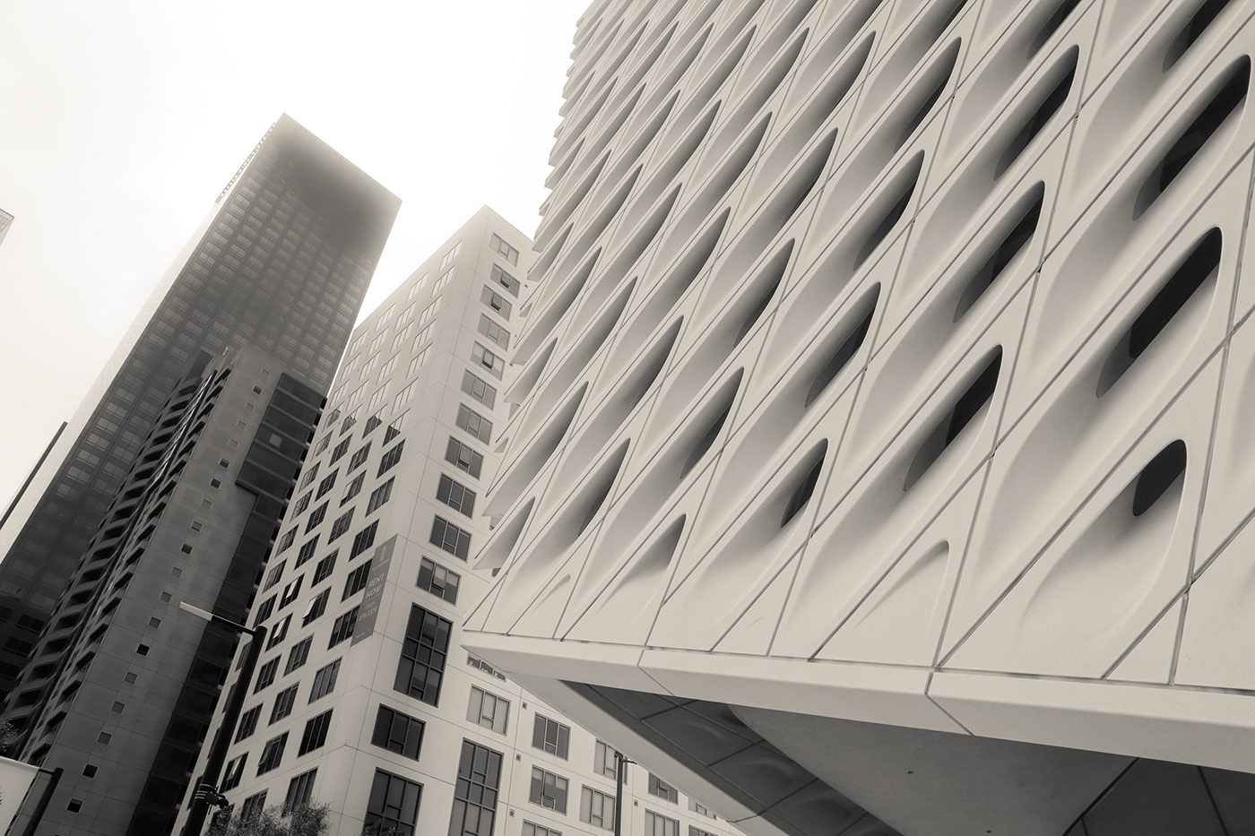 Los Angeles in Black and White-1