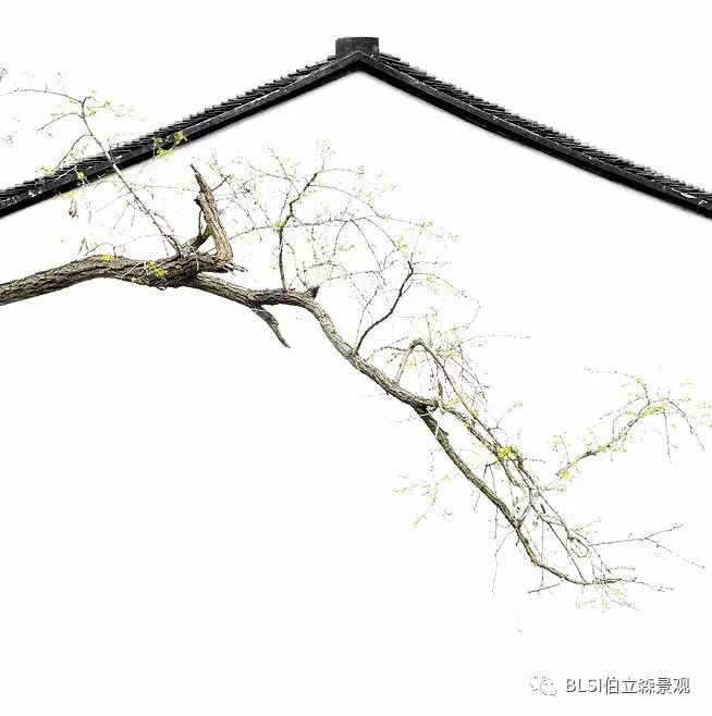 奥园天誉长兴 | 现代中式府邸的诗画之境-0