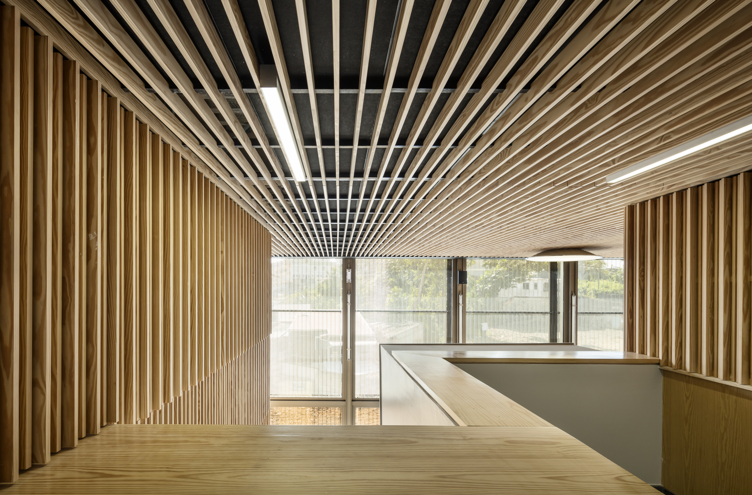 法国瓜德罗普岛 Pitre 司法宫丨Ignacio Prego 建筑公司-18