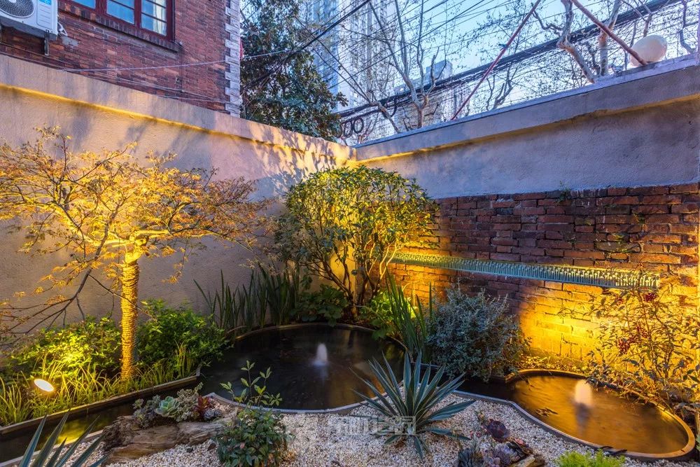 花园植物搭配的艺术与功能-49