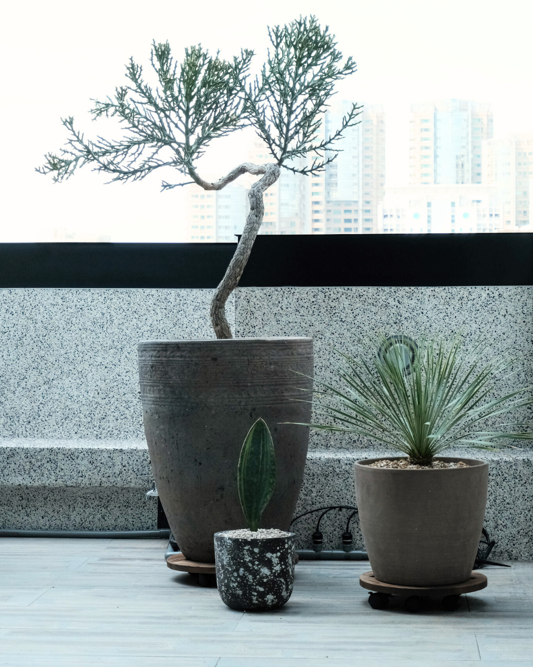 住宅案 | 大安區 | 陽台景觀設計-6