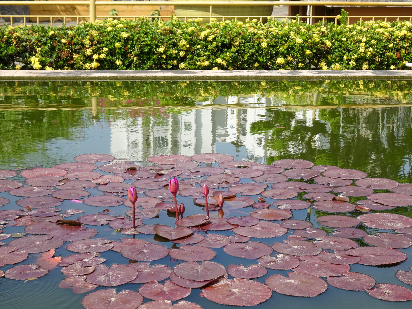 ヴィンチャン寺院（Vinh Trang Temple）丨越南-50