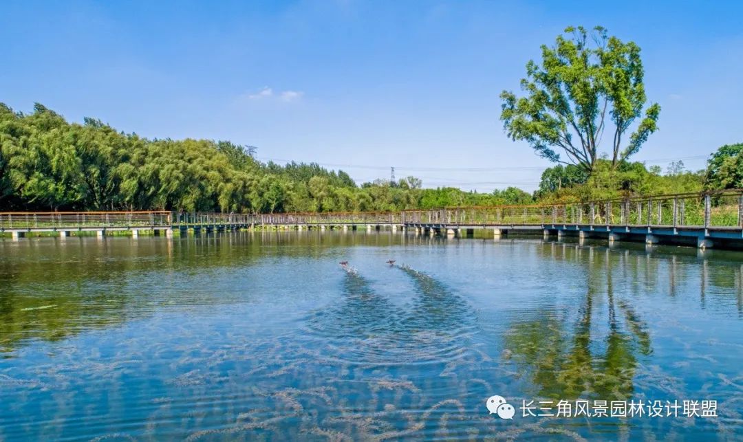 昆山市城市生态森林公园丨苏州园林设计院-18