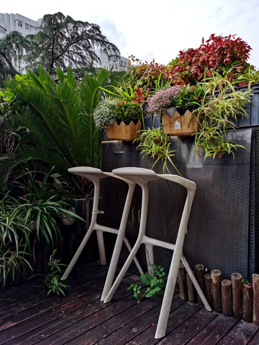 独居匠心,她把仅有10多㎡的小露台打造成成上海十佳“美丽阳台”之一!-15