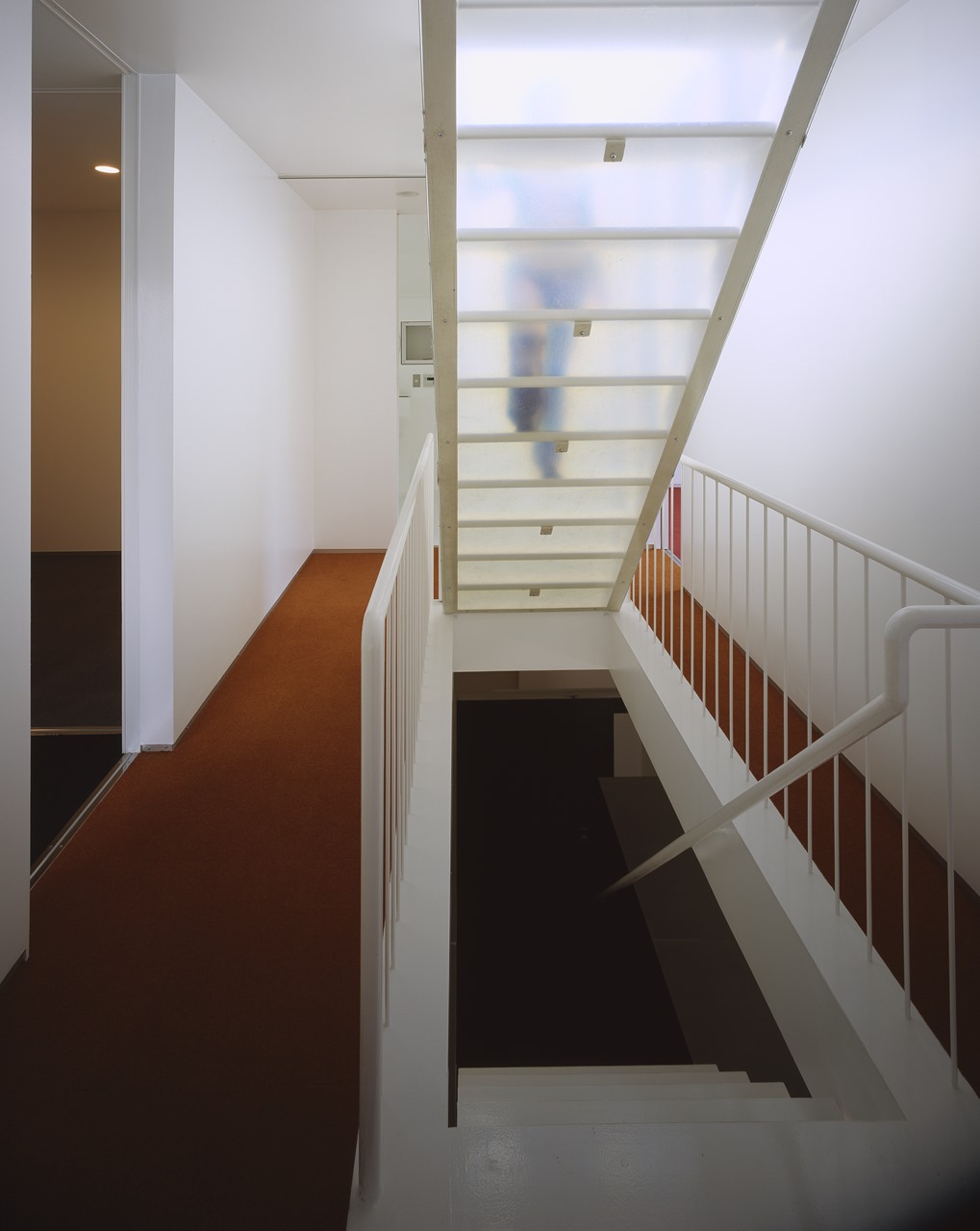 青い家（Blue house）丨日本大分丨塩塚隆生アトリエ（意匠）,大賀成典（構造）,河野設備設計室（設備）-9