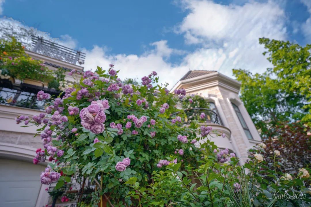 一米花园丨中国上海丨专业设计团队-30