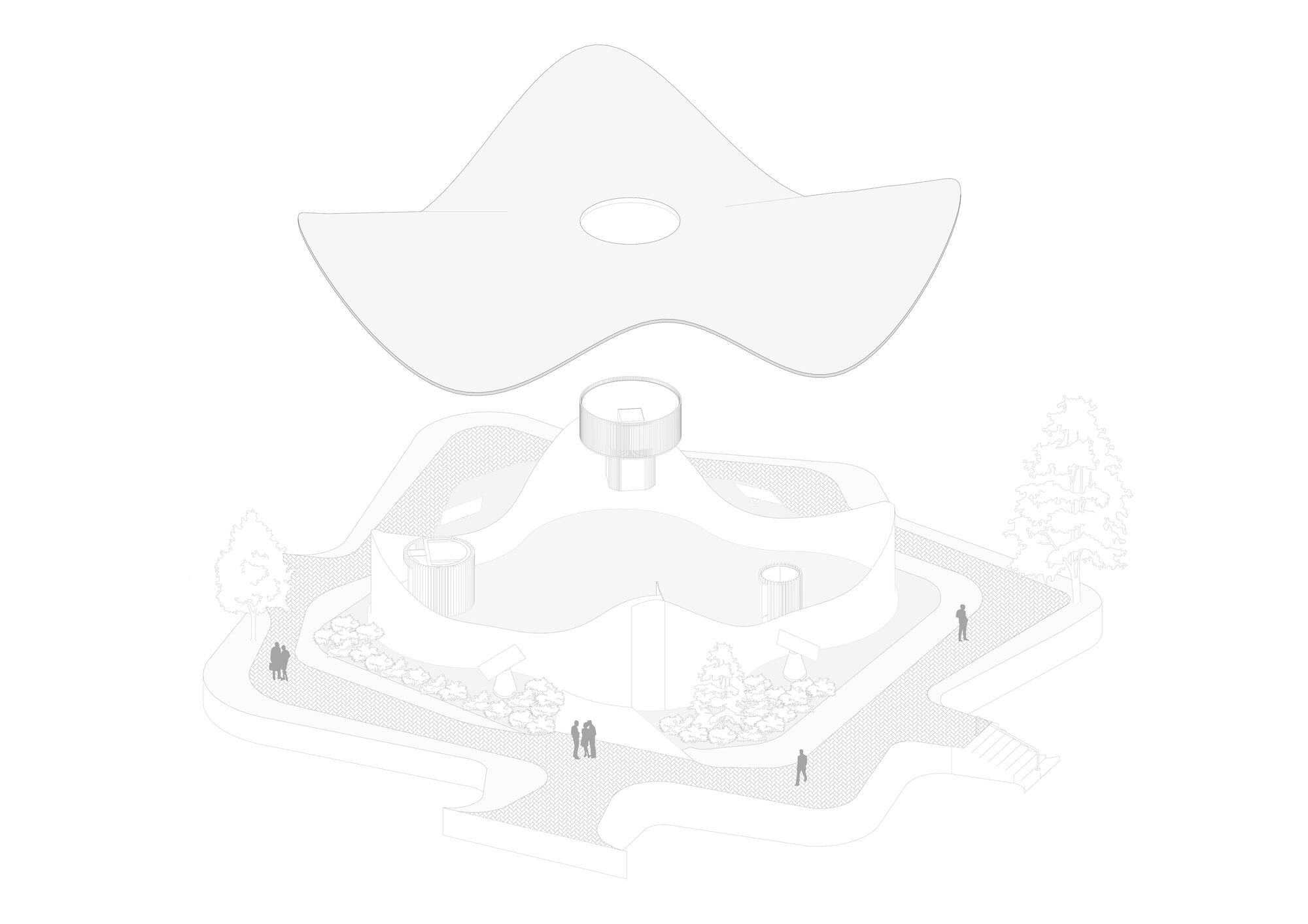 阿米巴分公司（注：Ameba常见指阿米巴，Branch有分公司、分支机构之意，结合常见语境如此翻译） 丨巴拉圭丨BAUEN-19